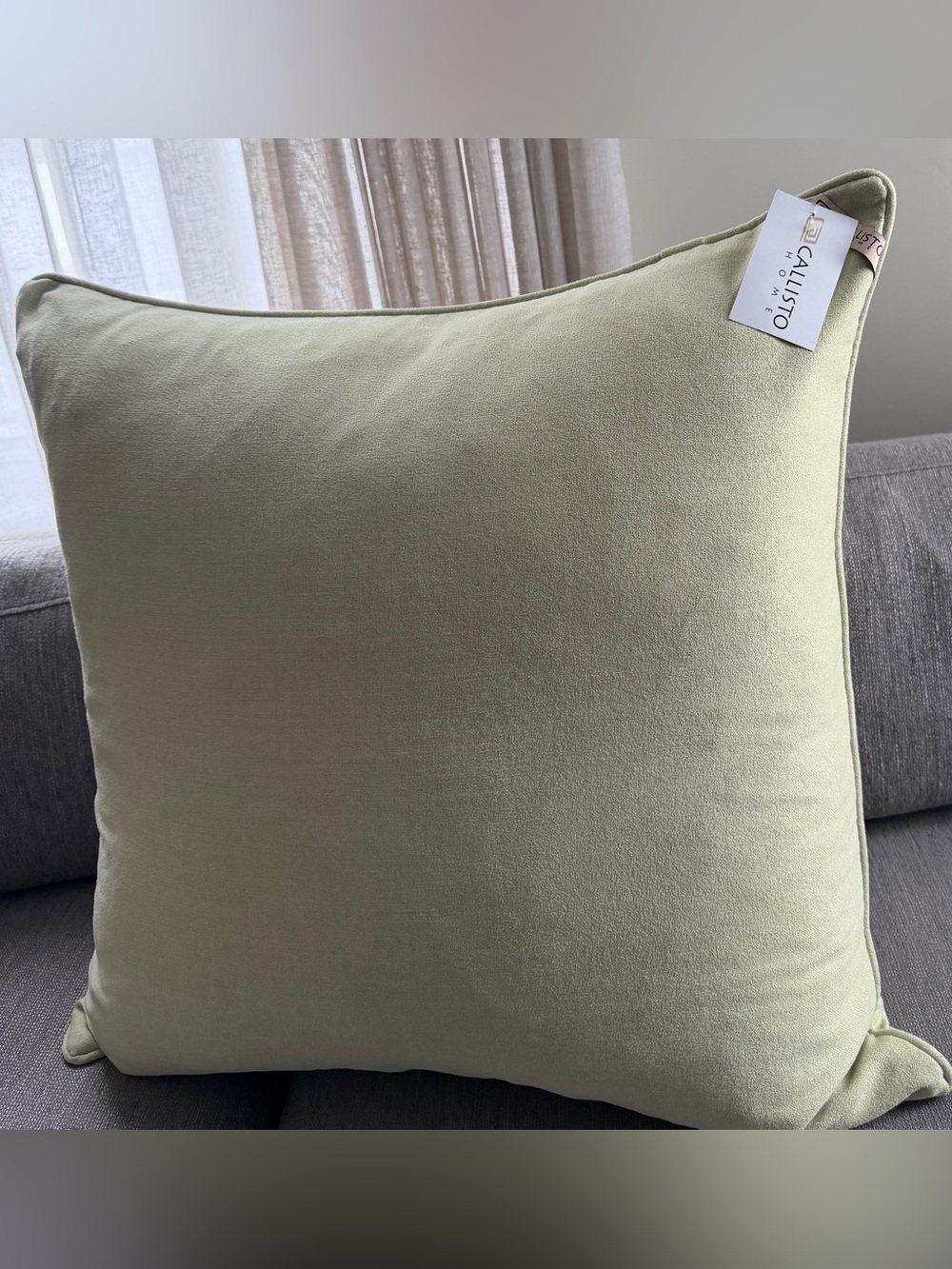 Callisto Home Sage Green Velvet Square Pillow